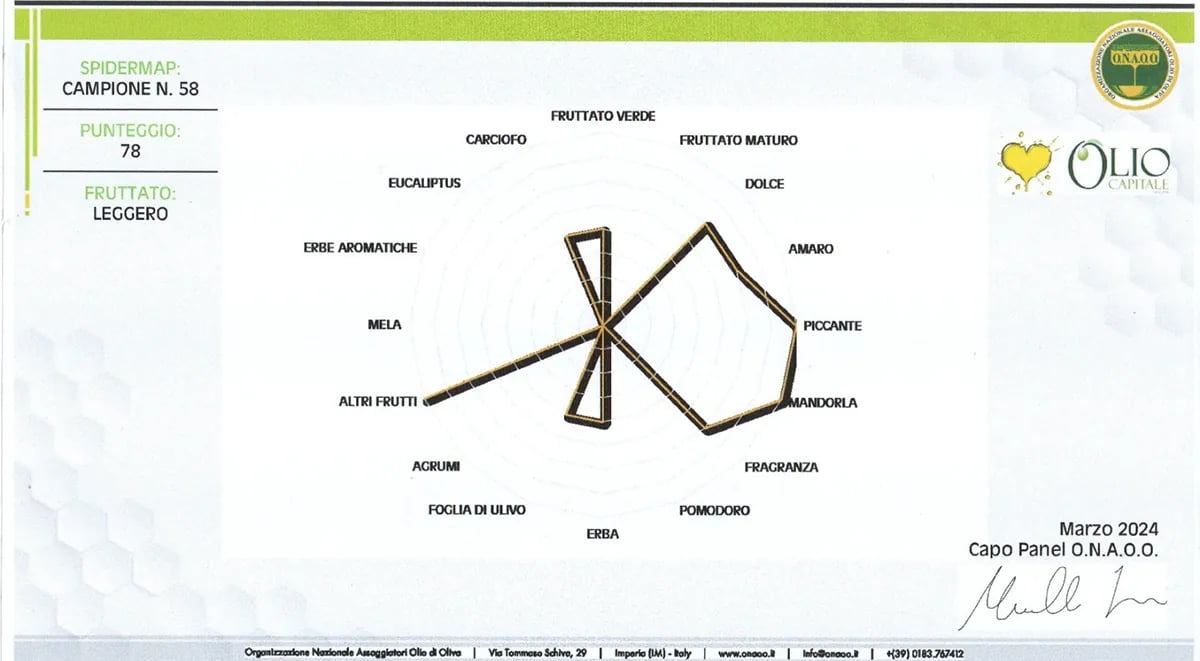Spidermap O.N.A.O.O. – Concorso Olio Capitale 2024, punteggio 78